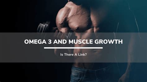 omega 3 benefits for muscle growth|omega 3 and skeletal muscle.